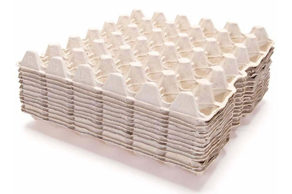 Make Egg Trays From Waste Paper